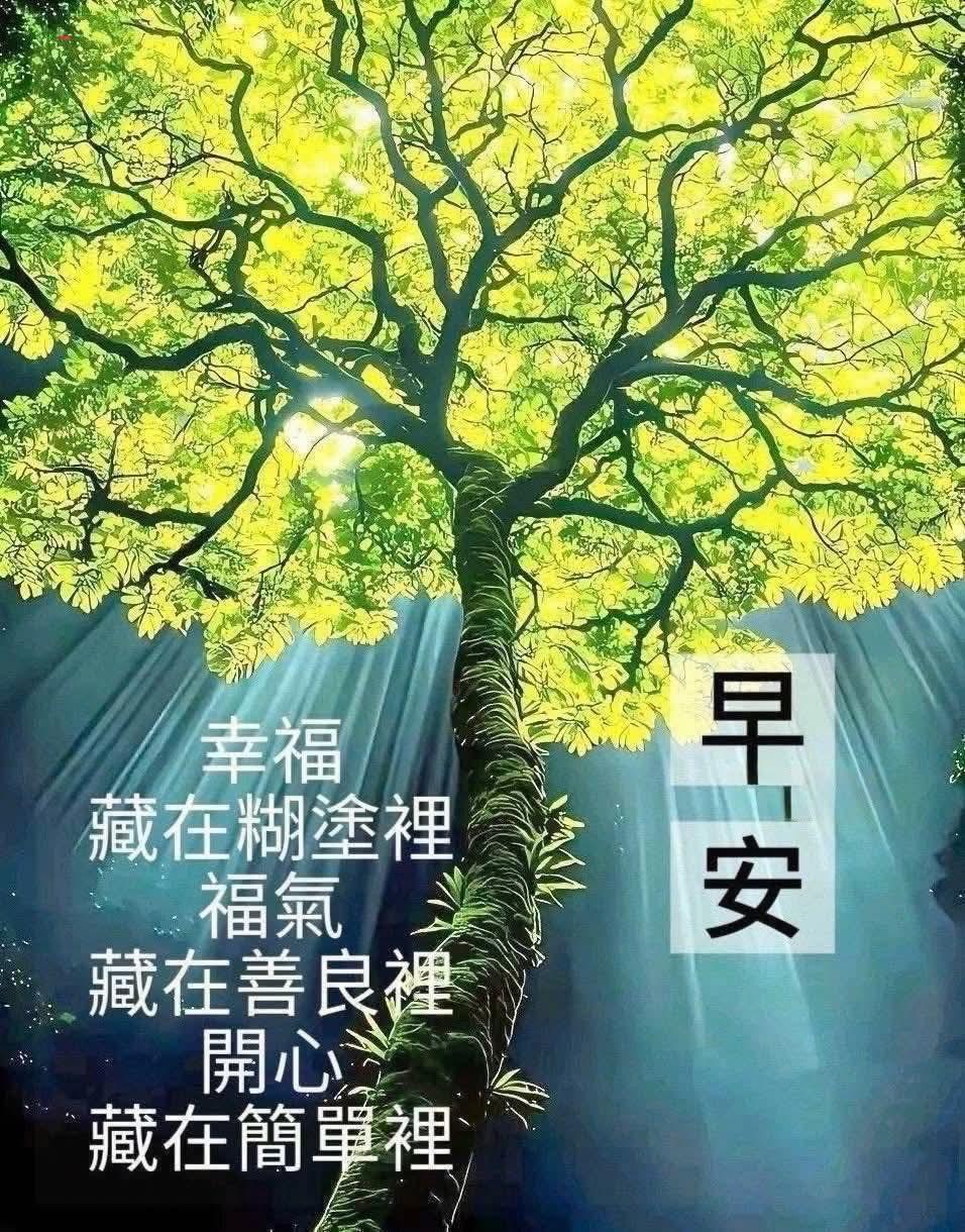 《早安，藏在简单里的幸福》

晨光推开夜的窗，
糊涂里藏着半两糖。
善良是心的露