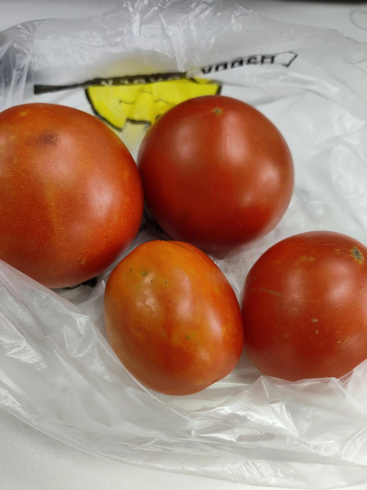 自己家种地西红柿好吃