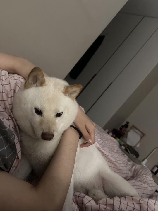 还不睡觉 看什么看👀