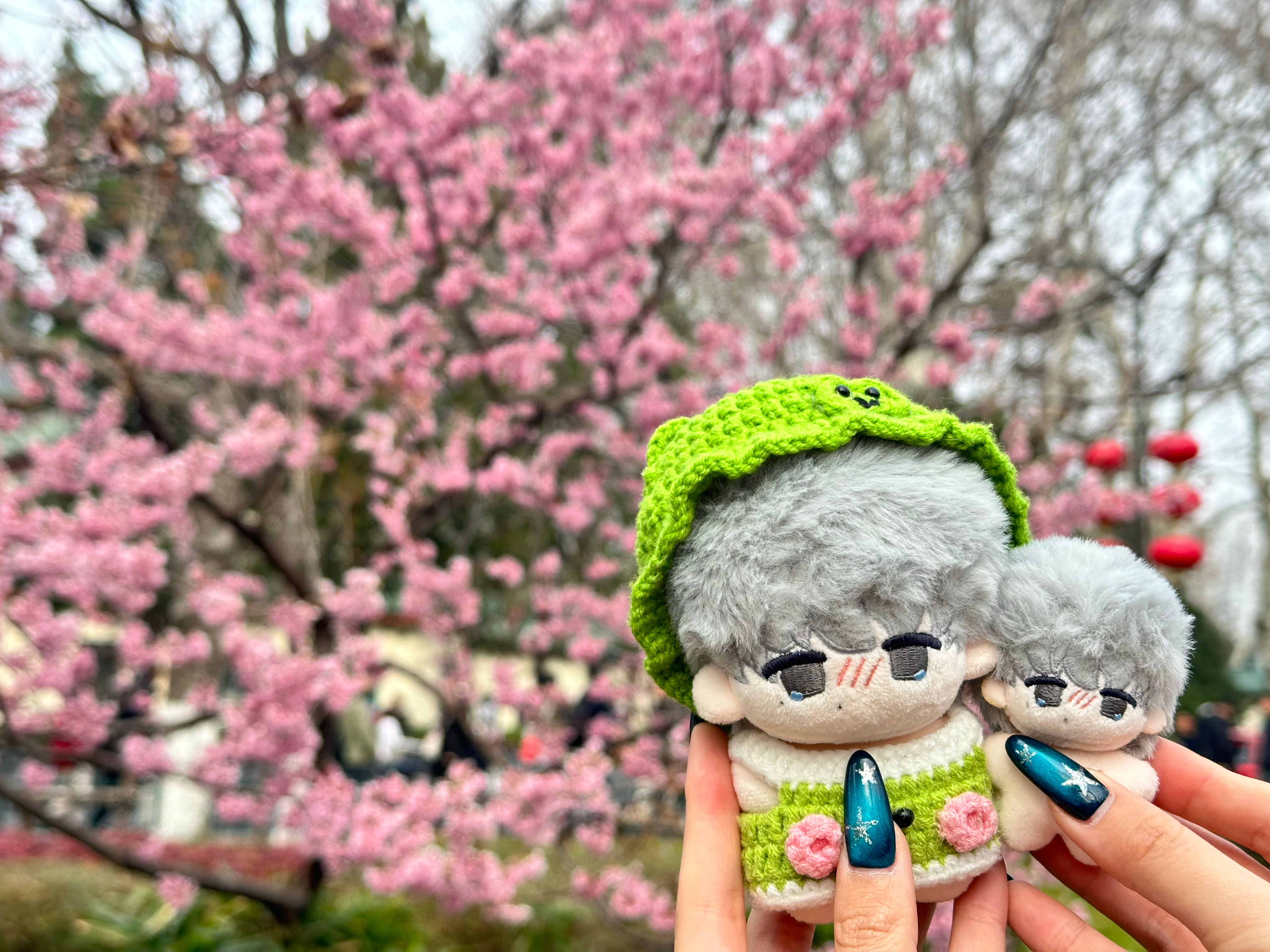 ee带哭唧叭去赏花啦春天的浪漫是花花给的