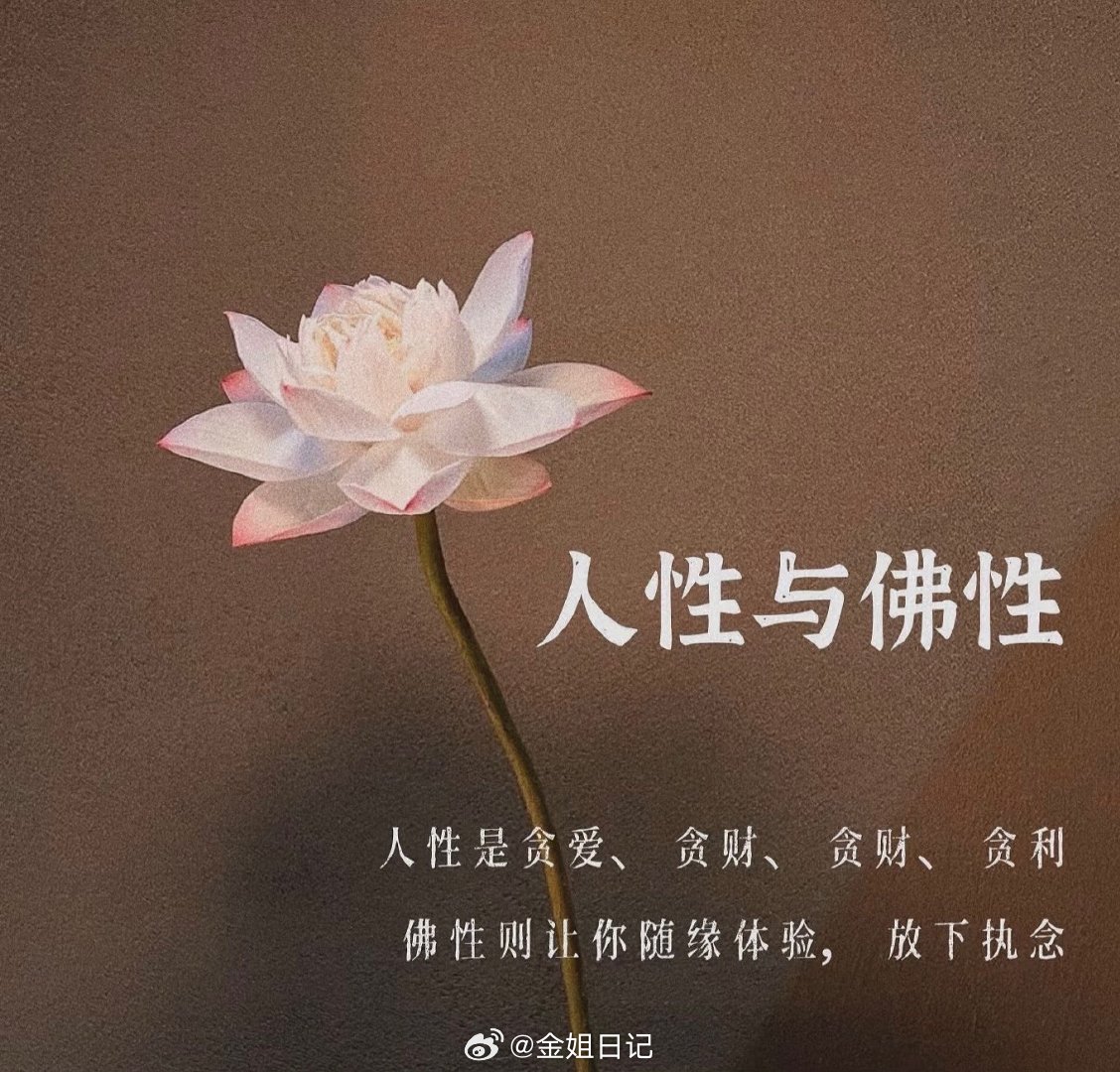 这段时间大盘来回磨，持舱的滋味确实不好受。不用被短期波动打乱节奏，放平心态，静待