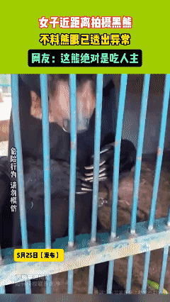 女子近距离拍摄黑熊不料熊眼已透出异常！ 网友：这熊绝对是吃人的主！😱