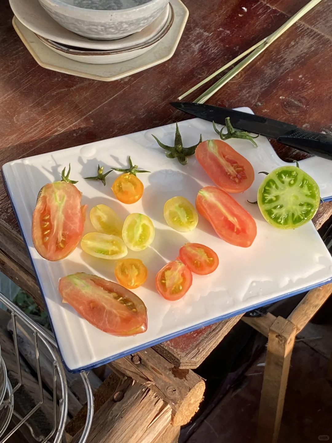 彩色番茄的切面像调色盘🎨