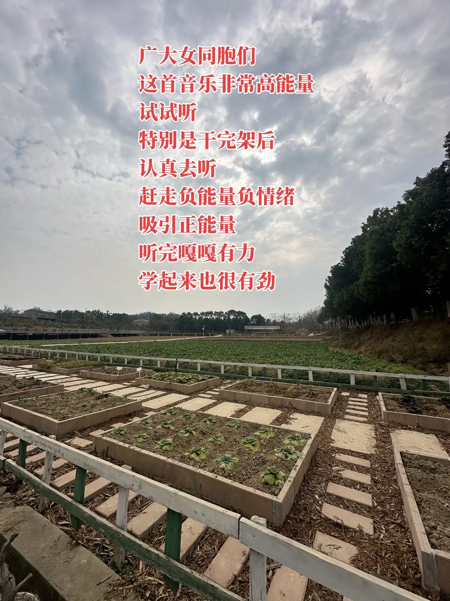 广大女同胞们 这首音乐非常高能量 试试听 特别是干完架后 认真去听 赶...