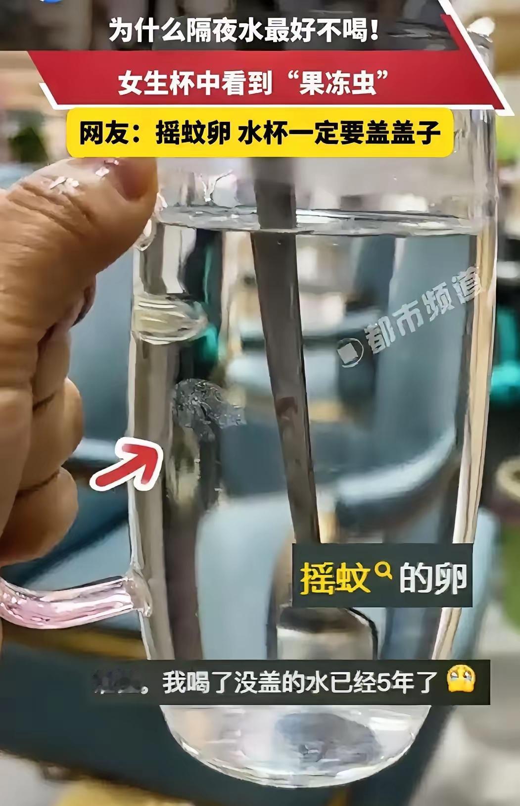 天呐！以前只知道隔夜水尽量别喝，今天才惊到——隔夜水居然能长活虫！小时候我妈总说