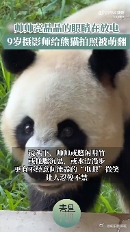 #小小J神拍广州潮男好绝# 熊猫界的“电眼”影帝，帅帅亮相！J神镜头下的它，无论