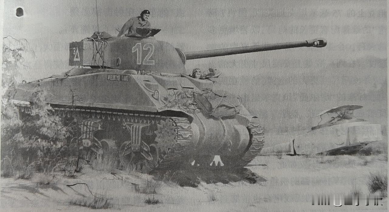 二战时，德国的“虎”式坦克于1942年秋开始投入实战，其坚甲利炮给同盟国军队留下