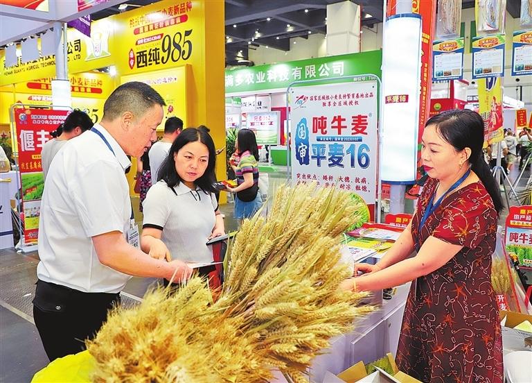 2026河南省秋季种子会10 月 26-27 日落地郑州国际会展中心，以 “种业