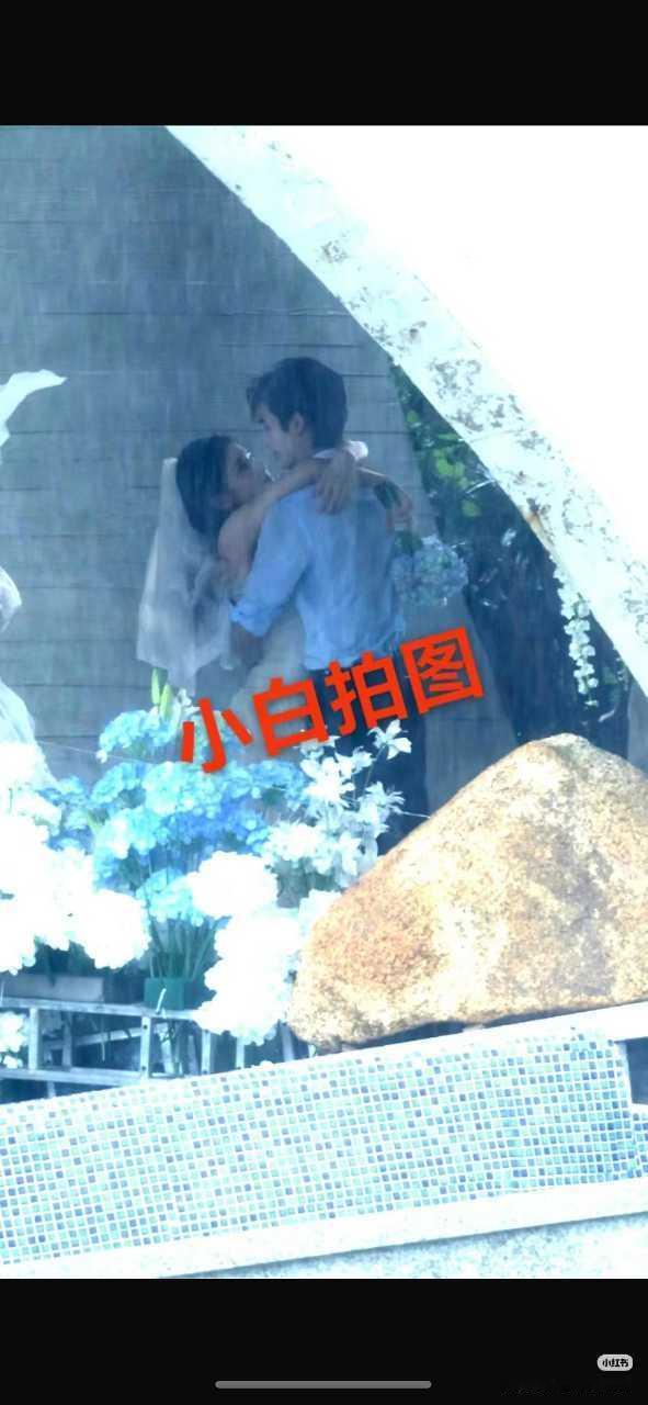 我我我 