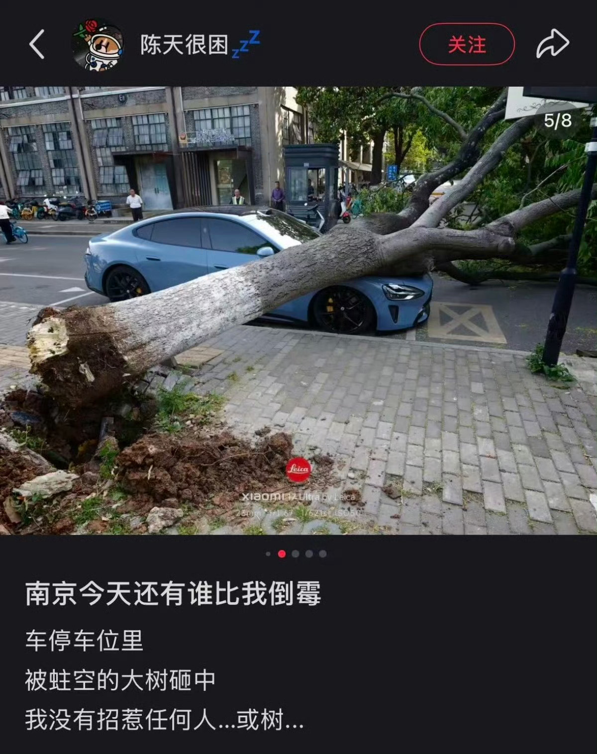 明明是被路边的大树砸到的，张嘴就造谣撞上去了，造谣成本还是太低了，甚至当事人车主