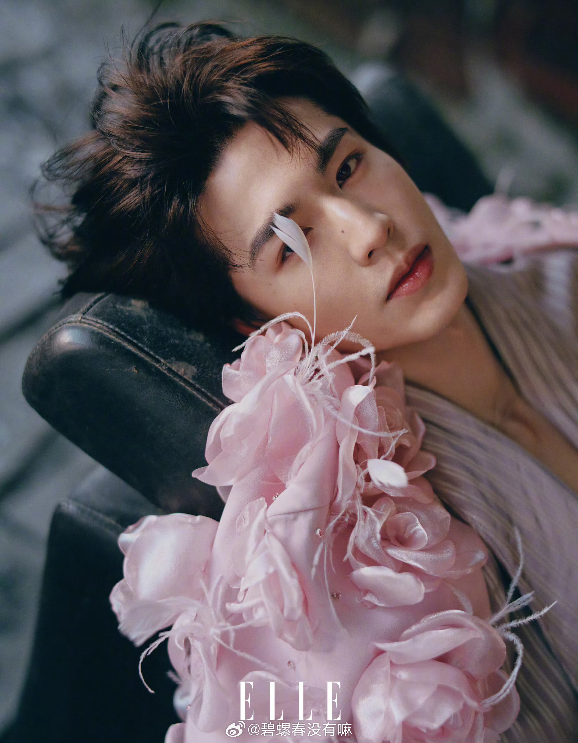 张凌赫 ELLE大片释出 