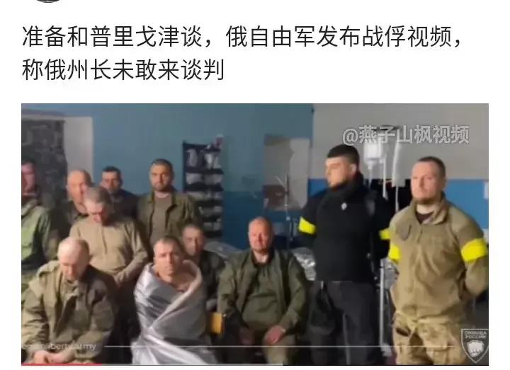 俄罗斯自由军团大量俘虏了俄罗斯政府军！想不到称为战斗民族的俄罗斯政府军居然栽在俄