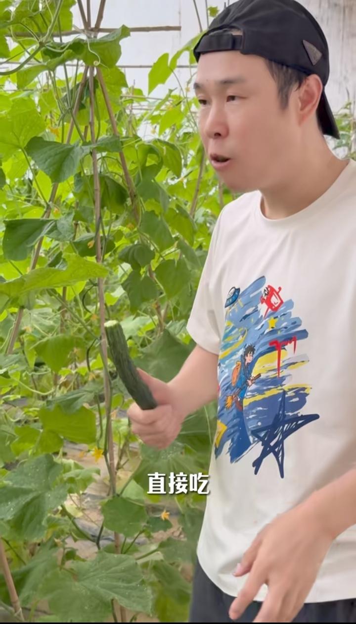 小沈阳在老家菜园里现摘的黄瓜和草莓，连洗都不洗就直接吃了，这也太不讲卫生了吧！[