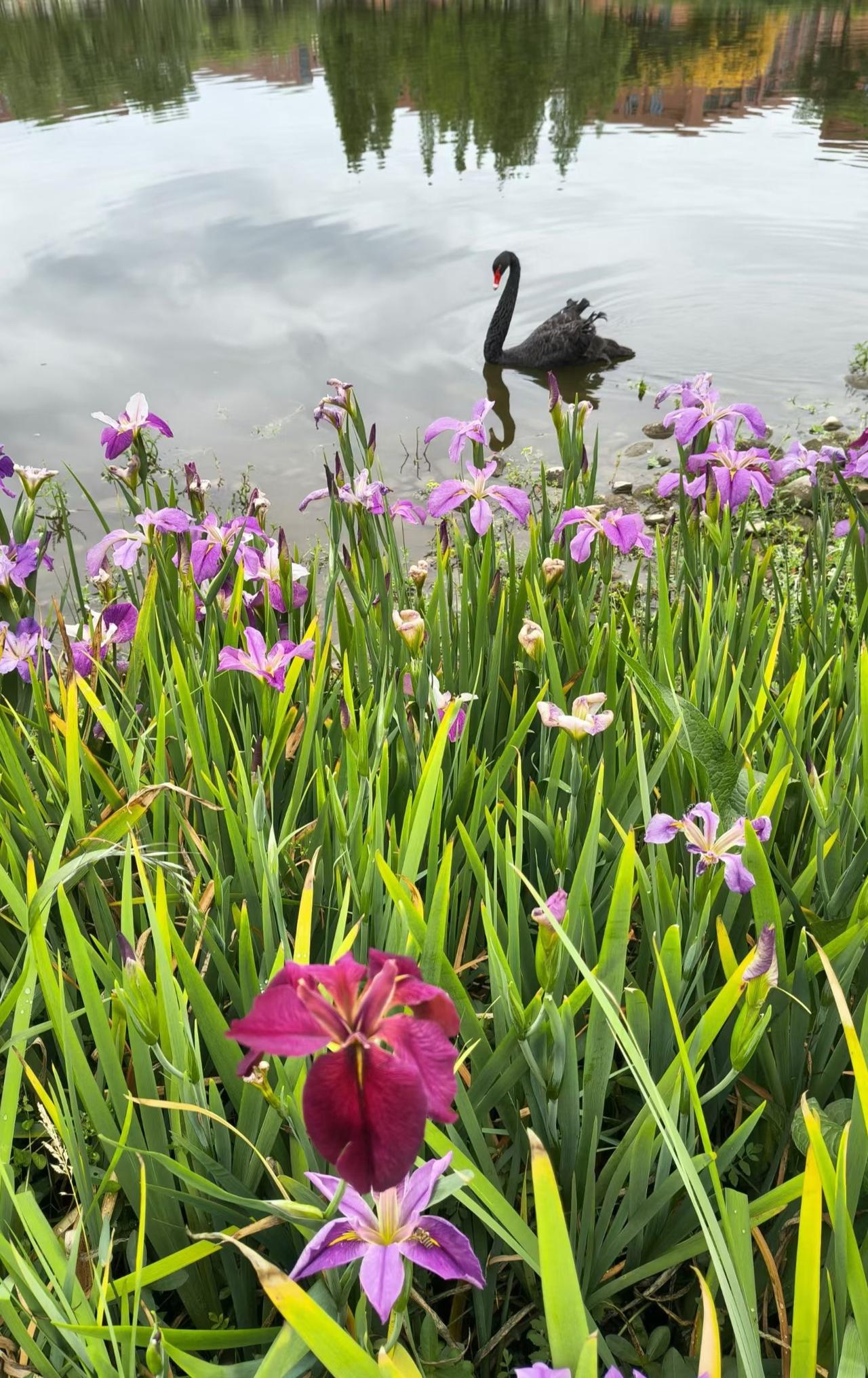 分享随手拍的美照