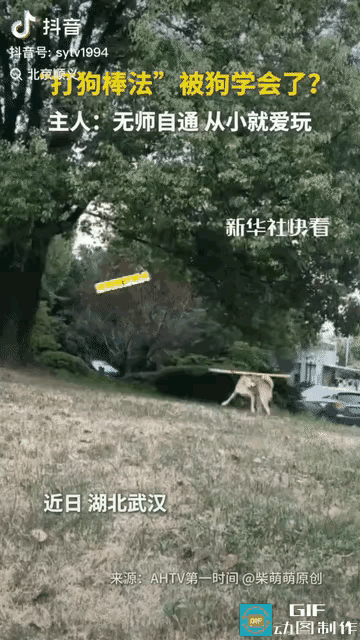 简直解释不清！
       武汉这只小狗怕不是偷偷看过武侠片。
       