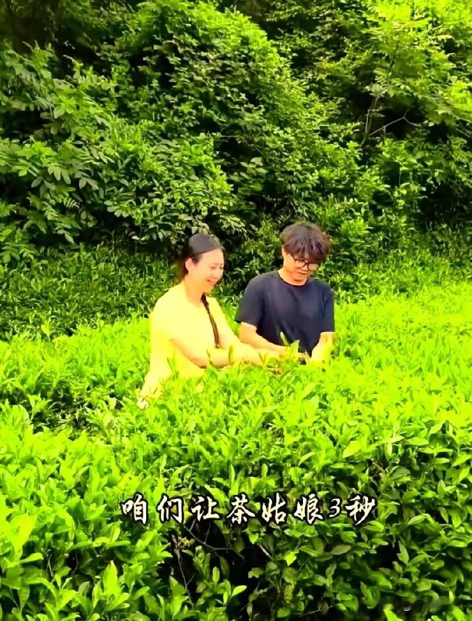 茶农子安直播爆红后，囤货四万斤无人问津，兄弟当场揭底

直播间里信任没了,弹幕上