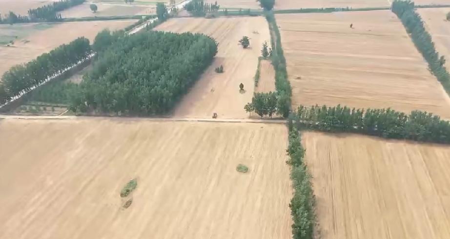 分享随手拍的景色曹县田园风光