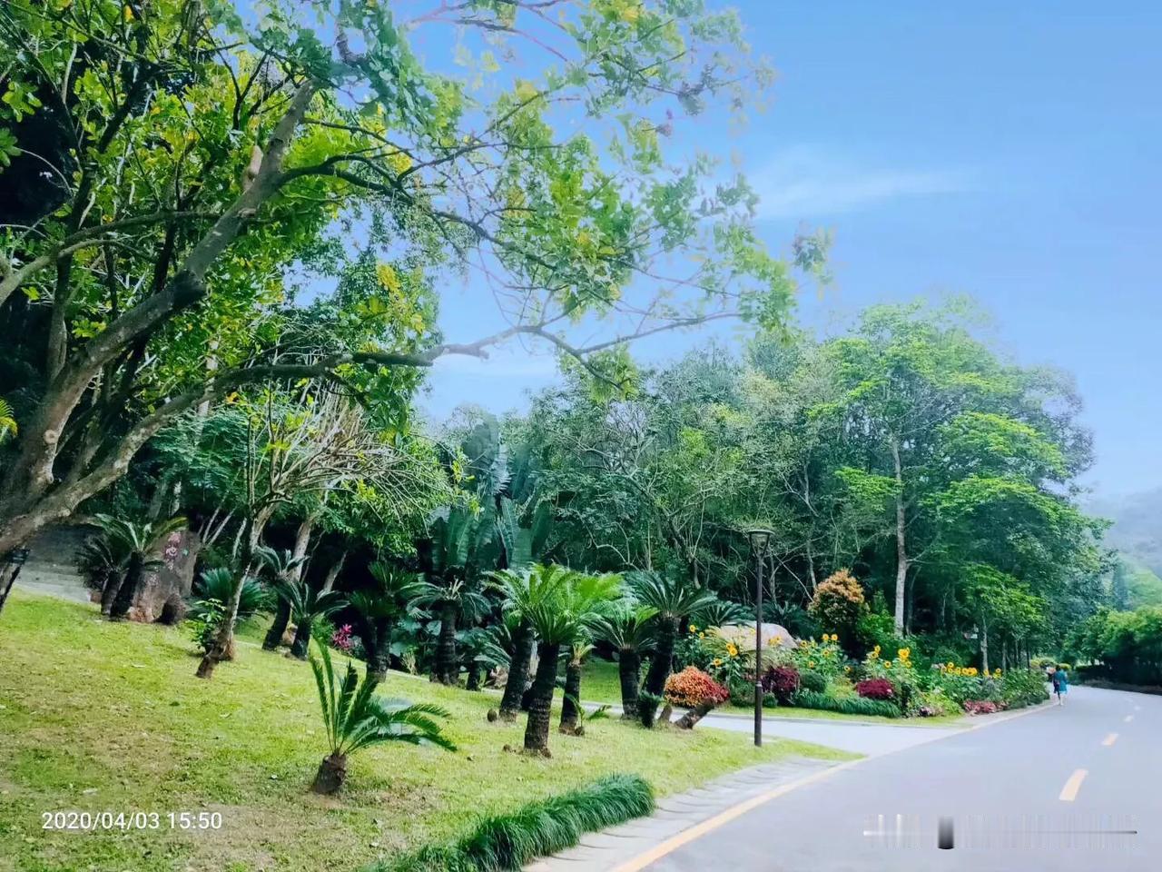 #深圳头条#今天开车去上班，下班准备回去时发现很堵，就想着接个顺风单看看能不能赚