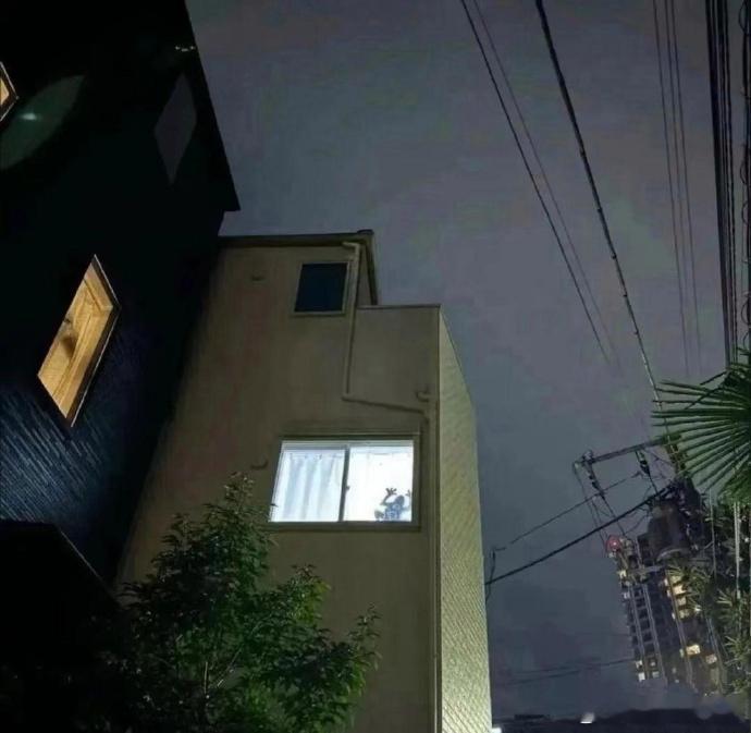 巨蛙现身，竟悠然卧于窗沿，何故？ 