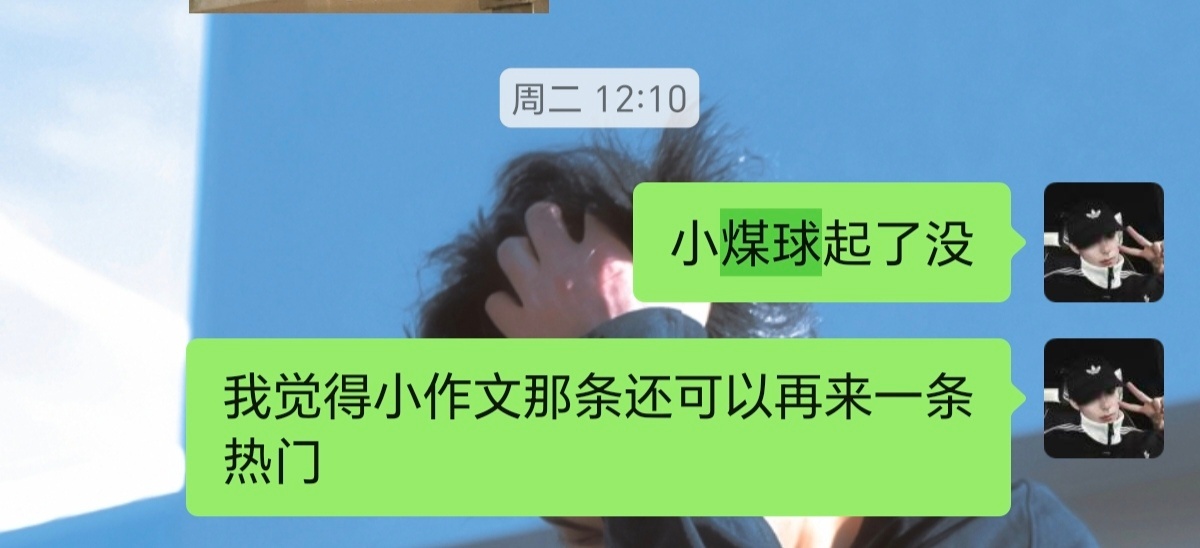 我不行了我这几天每天都在：小煤球在不在，最搞笑的是这几次没有任何一次是在的吧