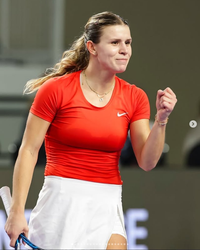 网坛又出现一位前Top100球员被临时禁赛。费特在去年11月16日比利·简·金杯