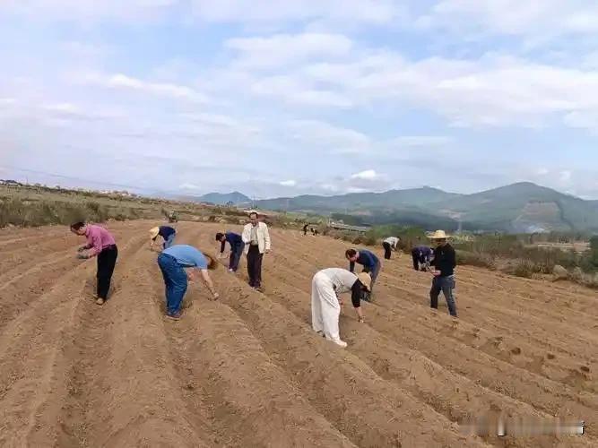 一户一田是土地所有权归农户吗?

您先别急着琢磨“分地”的事儿，这“一户一田”啊