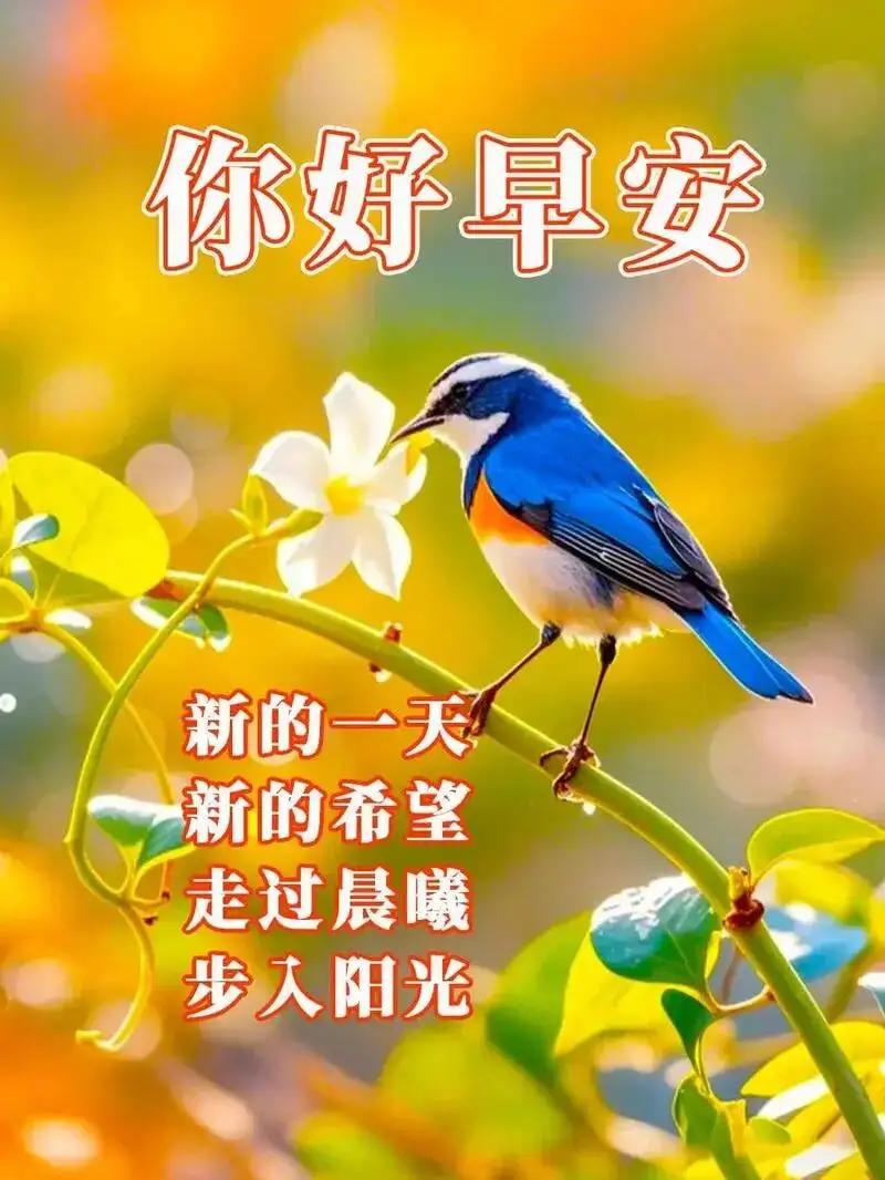 清晨的秋风轻轻拂面，新的一天如约而至，给自己一份温柔的早安问候。
 
愿你晨起有