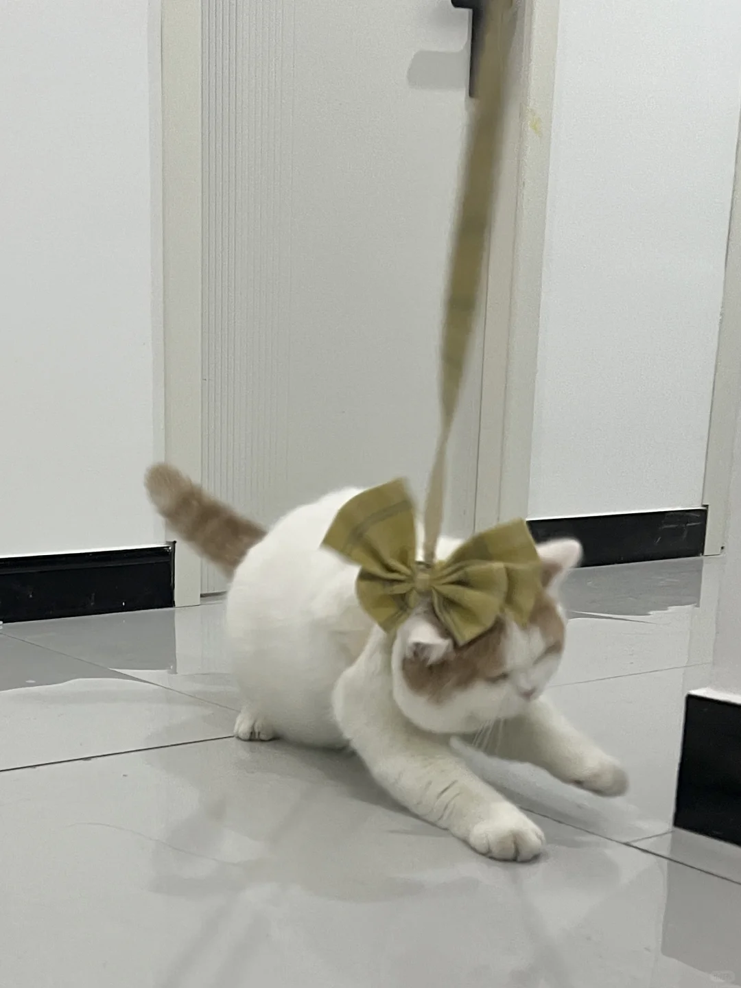 你不是爱出去玩吗 走啊 怂什么🤨
