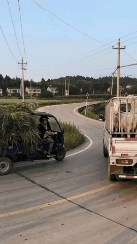 谁说天下不能掉馅饼？！🤔