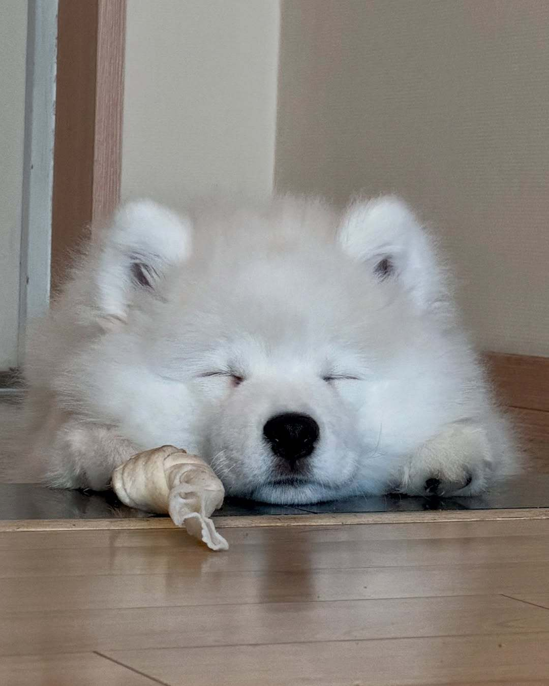 晚安耶 ​​​