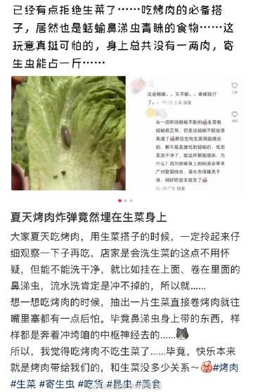 【烤肉配生菜，警惕这种可能看不见的危险！】

爱吃生菜的人天塌了

最近生菜上出