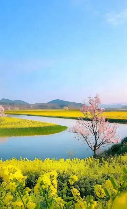 一段非常有道理的话:“只要你不操⼼孩⼦，那么这个操⼼的⼈，就会是他⾃⼰。”真正的