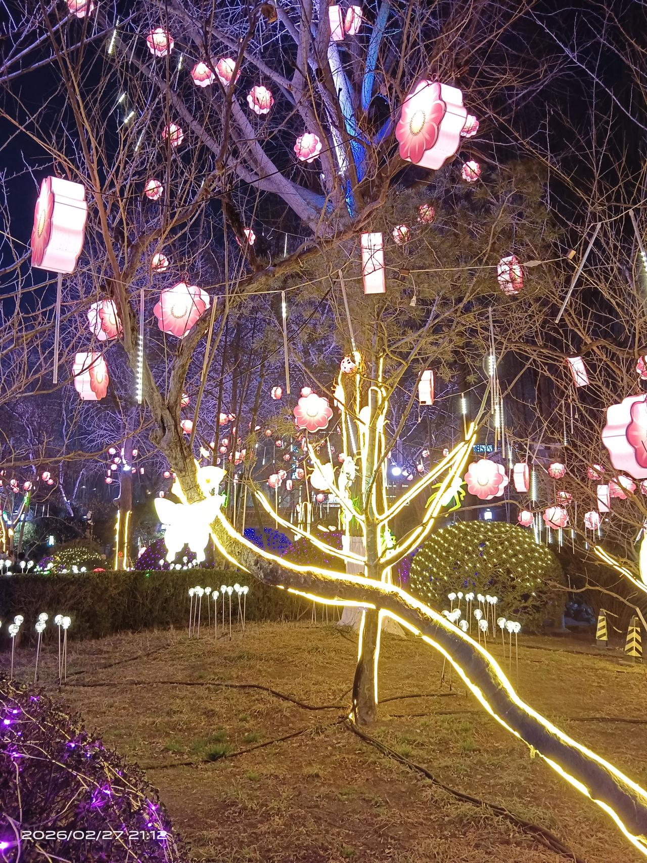 你家乡话对妻子的称呼是什么哈哈哈哈哈我们这称呼“婆娘”“媳妇”“老婆”