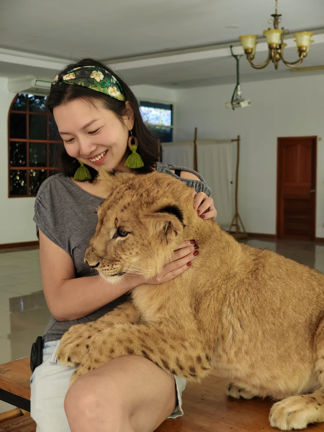 清迈亲子度假绝绝子！能撸狮子的民宿太香了