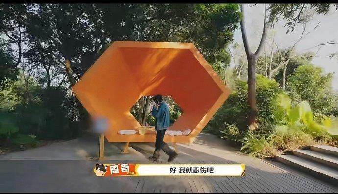 周奇上恋综没有人选 周奇在恋综环节无人选择，独自在山顶唱起《等待》，画面又心酸又