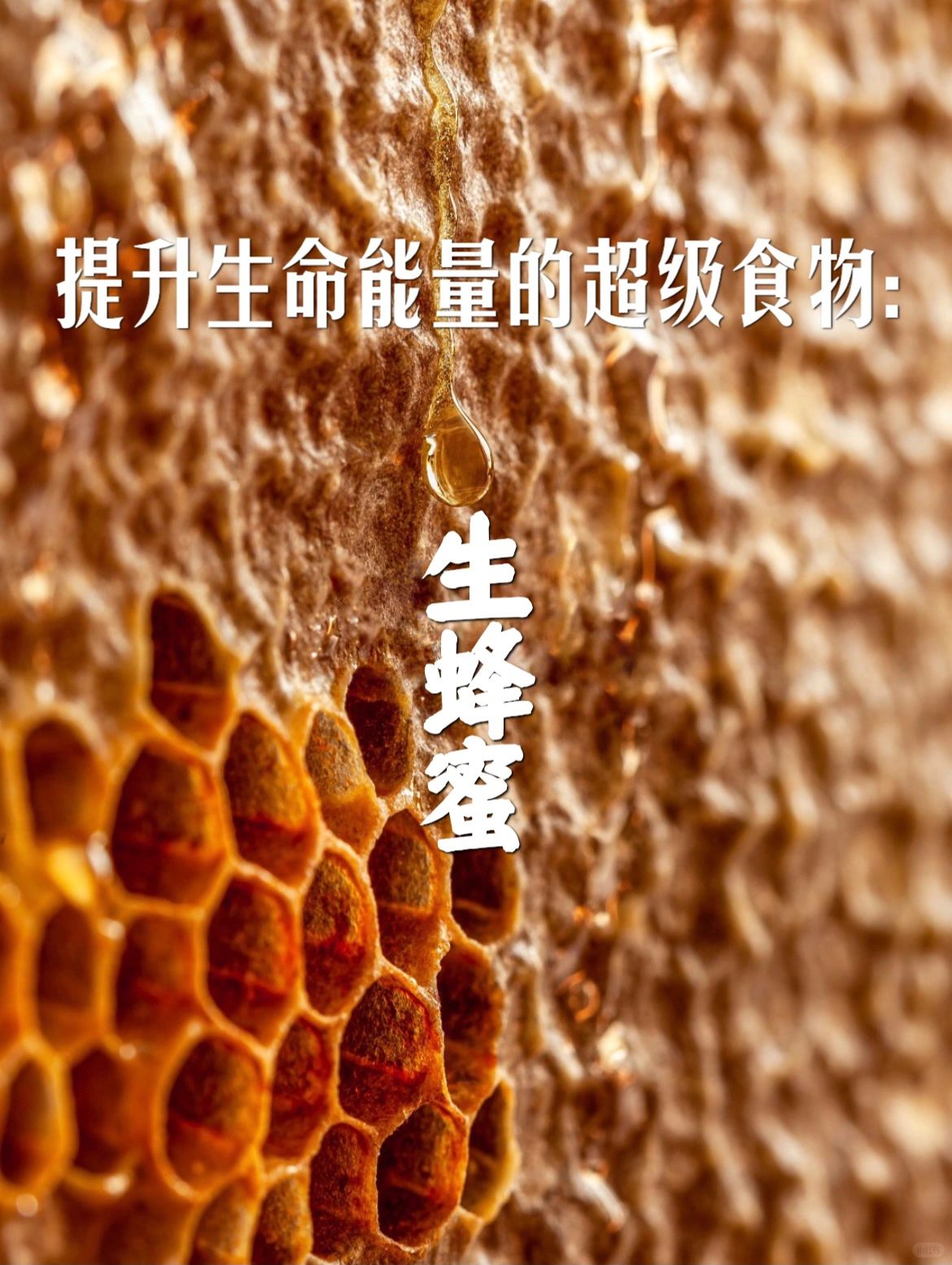 液体黄金：生蜂蜜