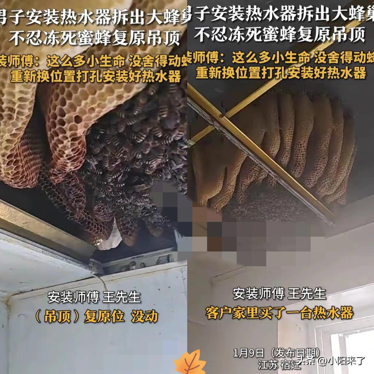 江苏宿迁，一居民家中要安装热水器，可安装师傅拆开厨房吊顶后，却发现里面有一个超大