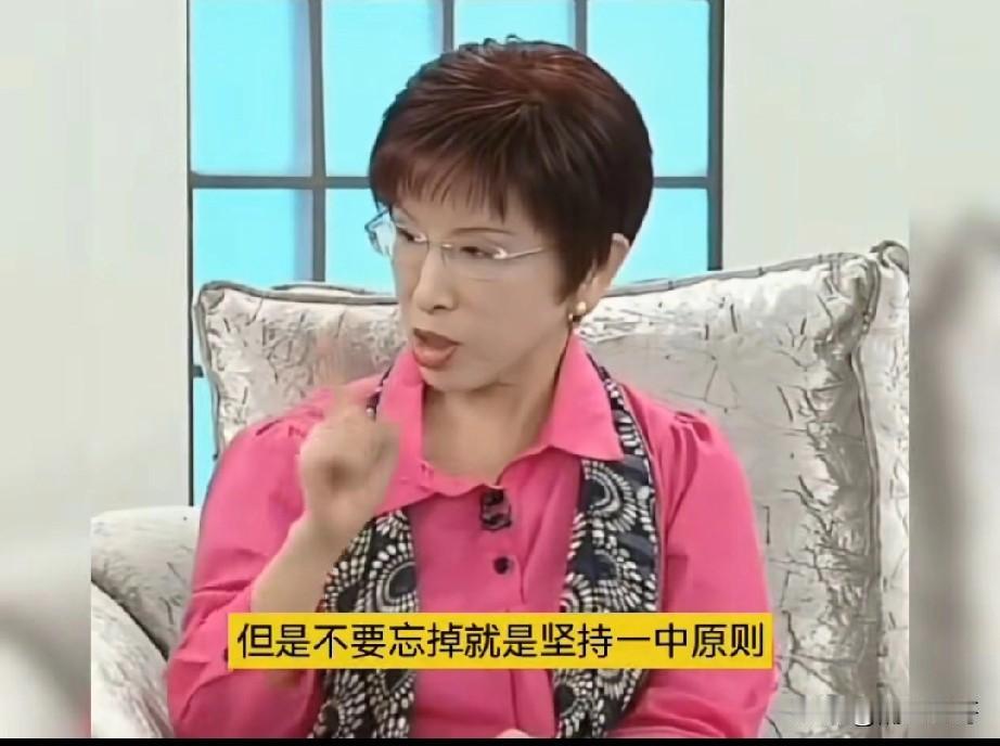 洪秀 柱解释“九二共识”，批判国民党只讲前半句，不敢说后半句。

她说：“九二共