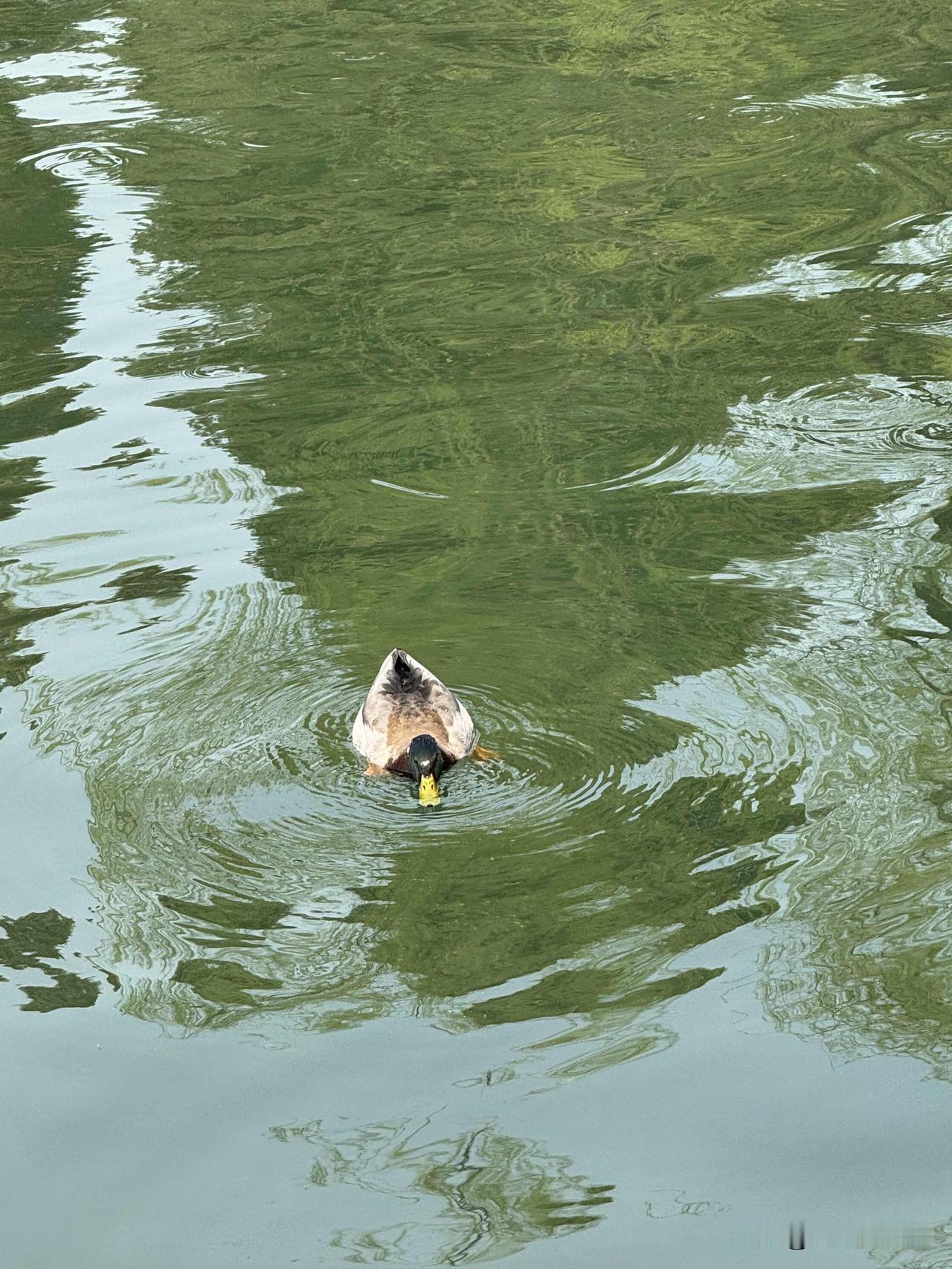 想起原来上班时候的事。
师傅是单位的电工，安装、架线，野外工作很辛苦。
师傅跟徒
