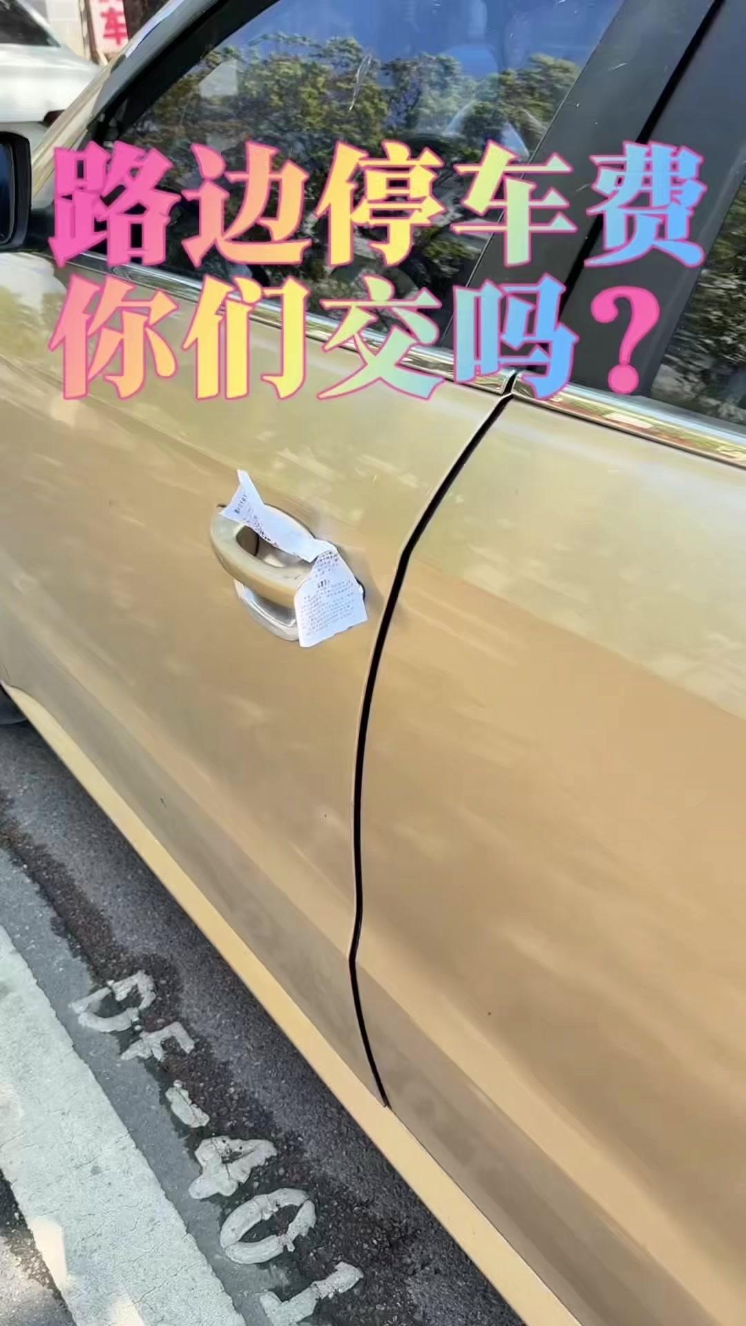 🥺路边停车费该不该交？十块钱一升的汽油，还收停车费？这不合逻辑！什么费用都该包