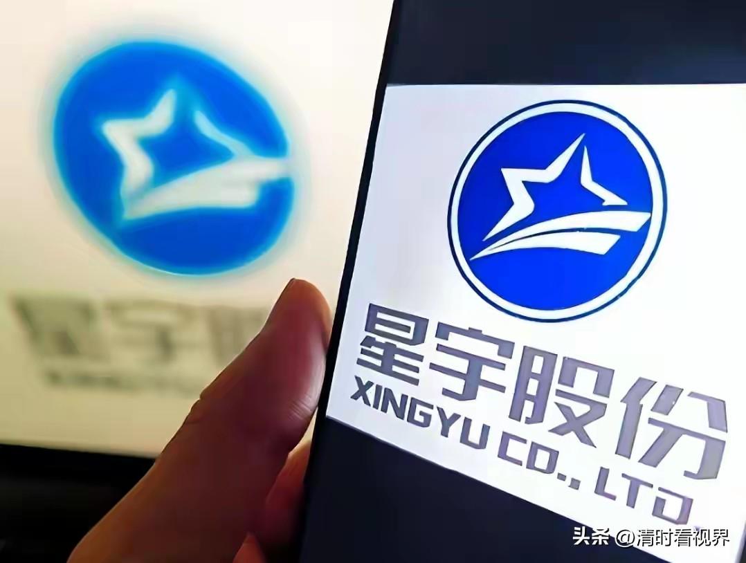 星宇股份最怕的就是车企不想给订单他了，还怕债主追债，毕竟负债了差不多80亿，车企