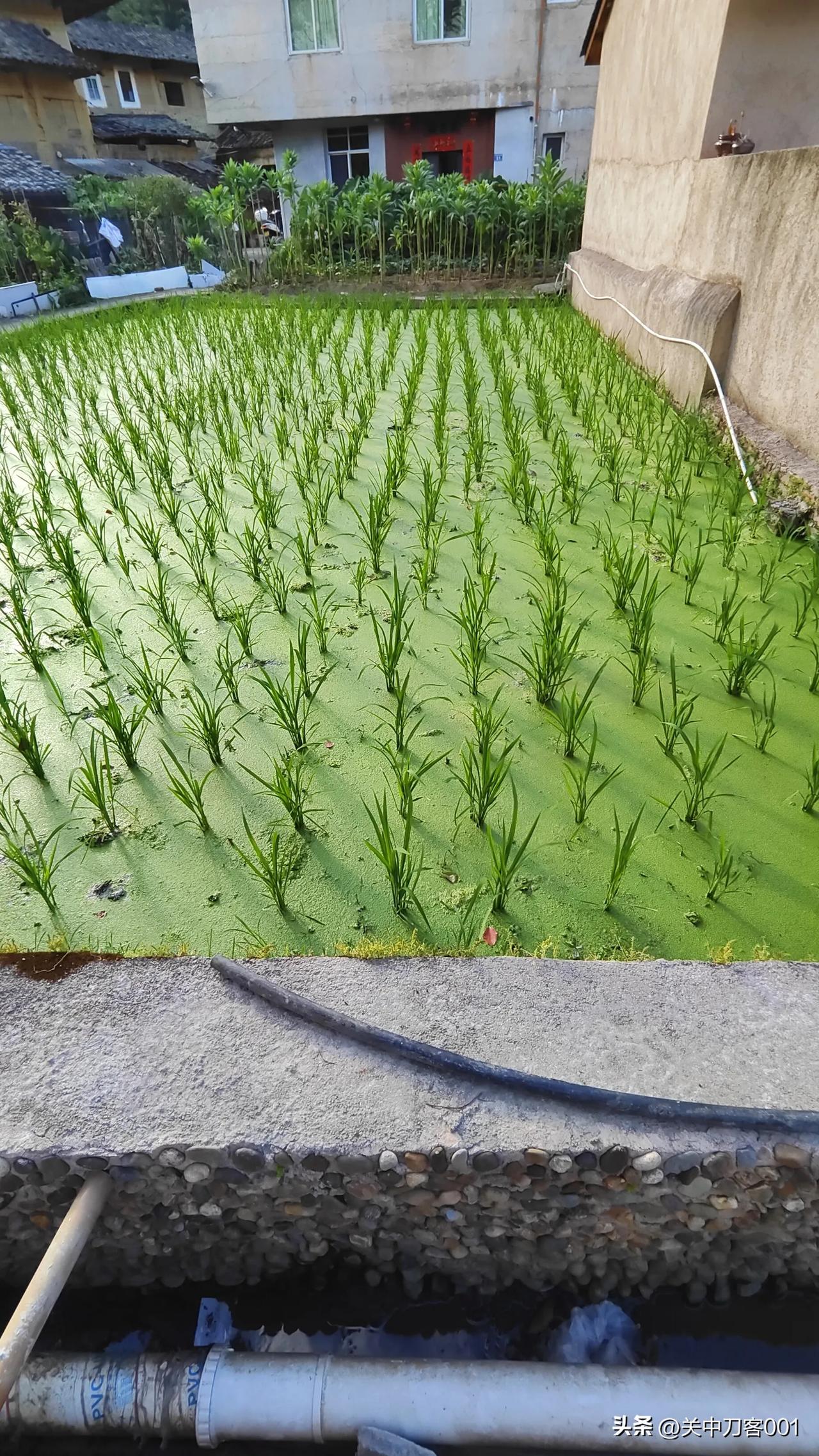 世界再变，初心不变。
用靠谱赢取认可，用长久换心安，用爱心求得幸福安康。