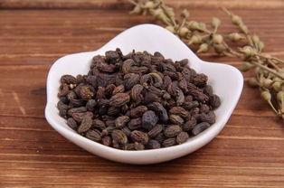 最好的降火药其实是津液，仅2味，滋阴还清火
 
很多人一上火就吃清火片，或者喝凉