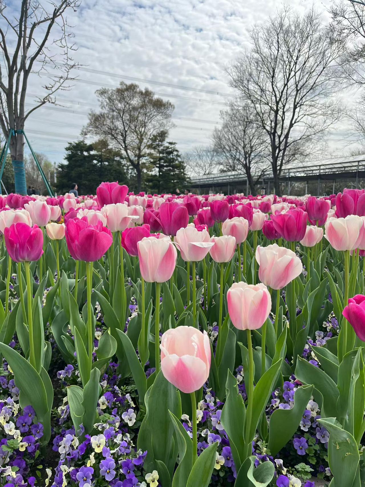 为什么要上老年大学？这四个理由一个比一个重要

退休是另一场探索的开端。老年大学