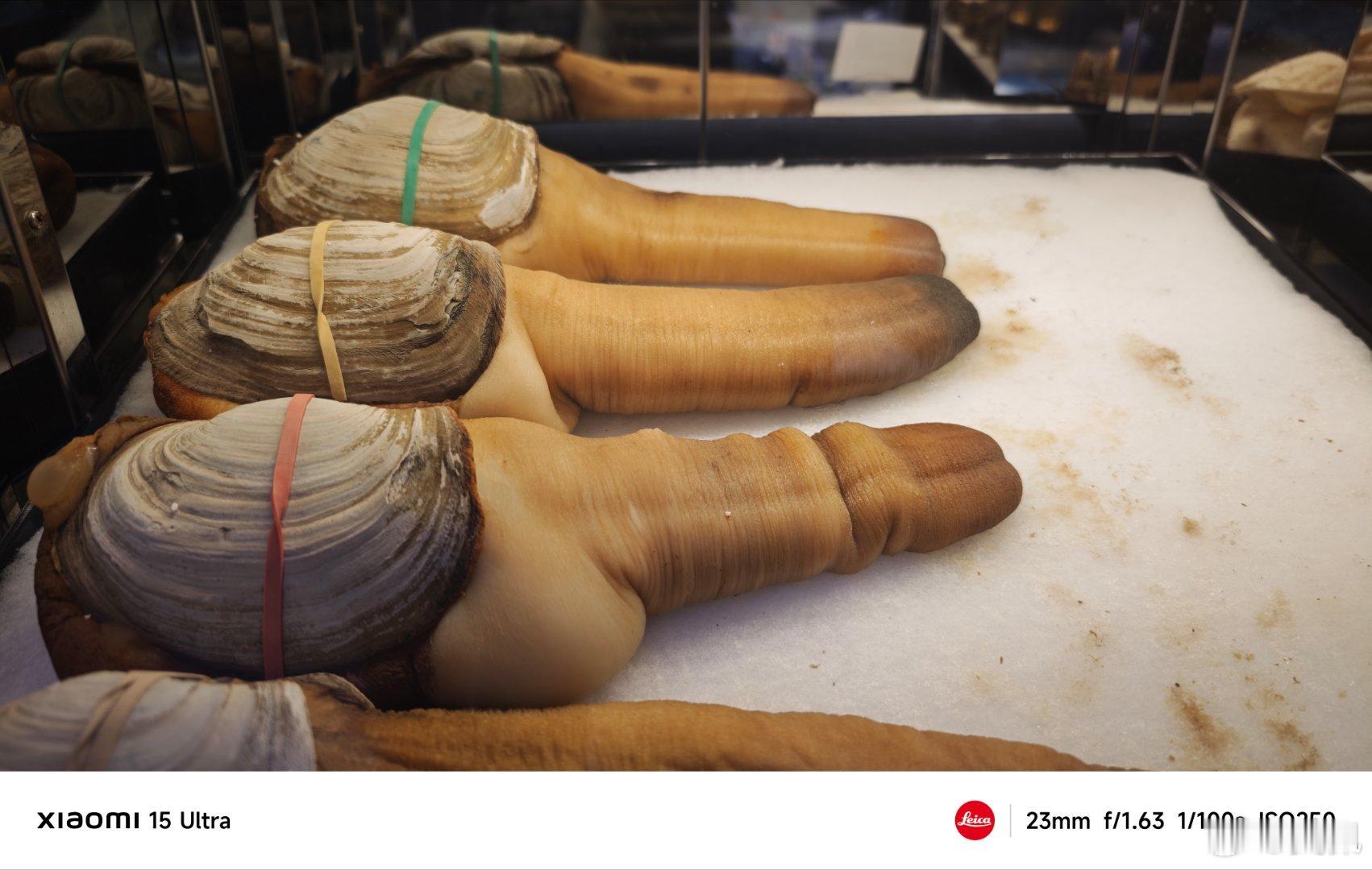 看谁不爽就吃谁，兄弟们帮忙点个菜呗 珠海