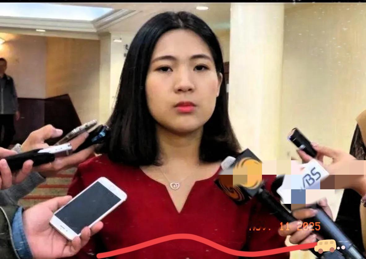 徐巧芯说得挺在理，吴石为了理想和中共合作，压根不是叛变，就是特殊时期的权宜之策。