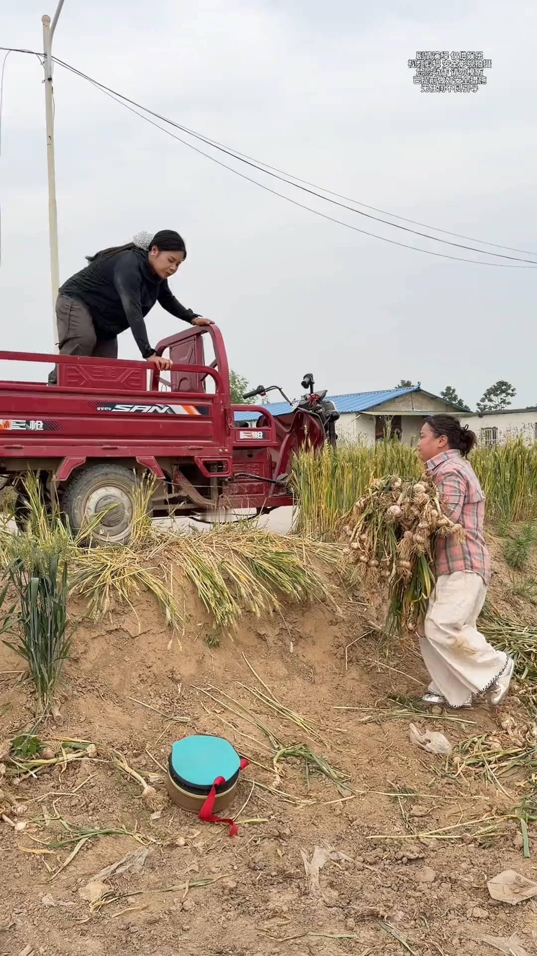 哈哈哈哈哈哈。
哈哈哈哈哈哈。