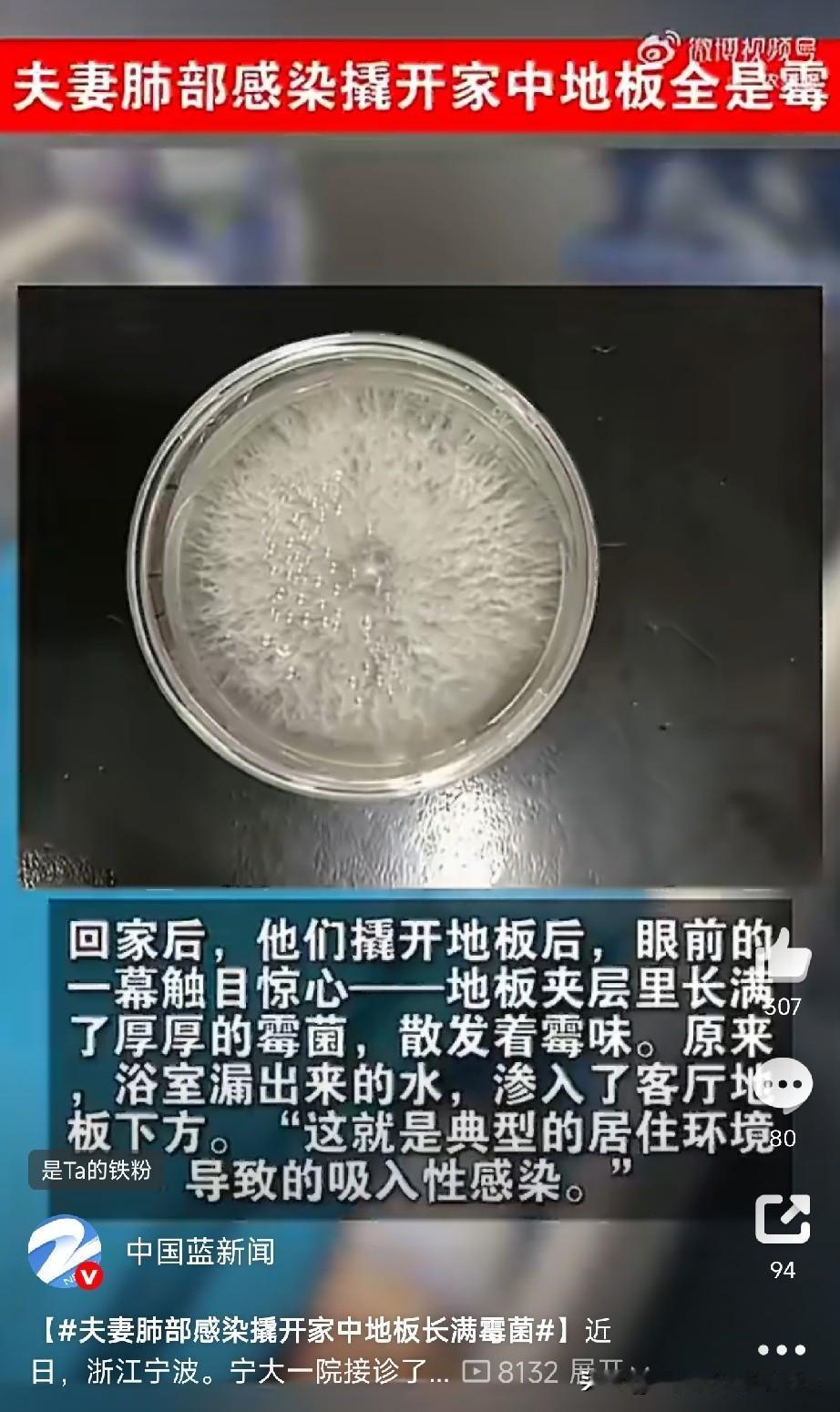 夫妻肺部感染，
撬开家中地板发现长满霉菌

浙江宁波的周先生和妻子，最近同时发烧
