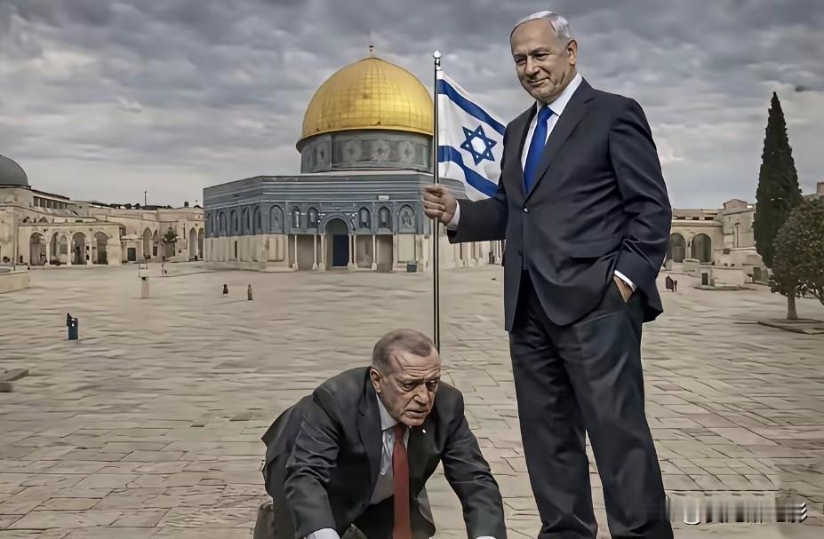 前两天埃尔多安刚骂完内塔尼亚胡，以色列的回击这不就来了嘛！

以色列这回的回击，