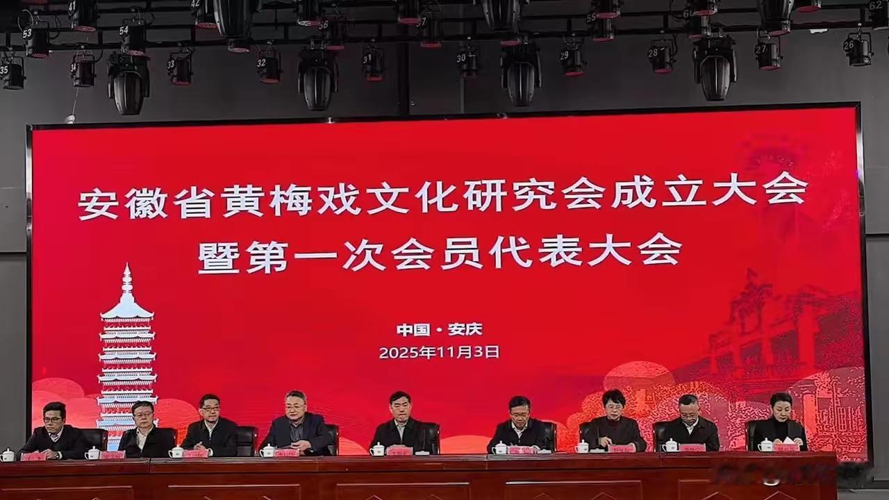 11月3日安徽省黄梅戏文化研究会在安庆成立，看着阵仗很大，很严肃。然而第二张照片